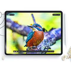 2X FILM PROTECTEUR HOFI PAPER PRO+ 2-PACK IPAD 10.2 7 / 8 / 9 / 2019-2021 MATTE TRANSPARENT