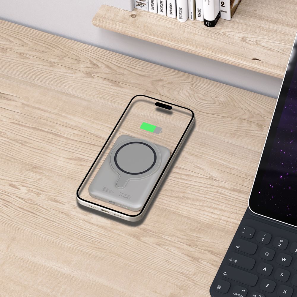 TECH-PROTECT PB10 LIFEMAG MAGSAFE BANQUE D'ÉNERGIE 5000MAH TITANE